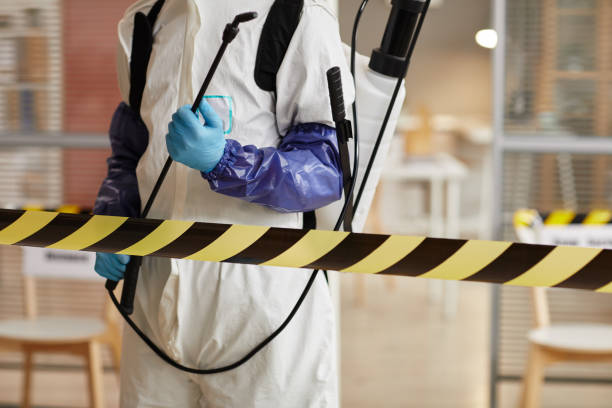 Professional Hoarding Cleanup technician working in Engelhard, NC